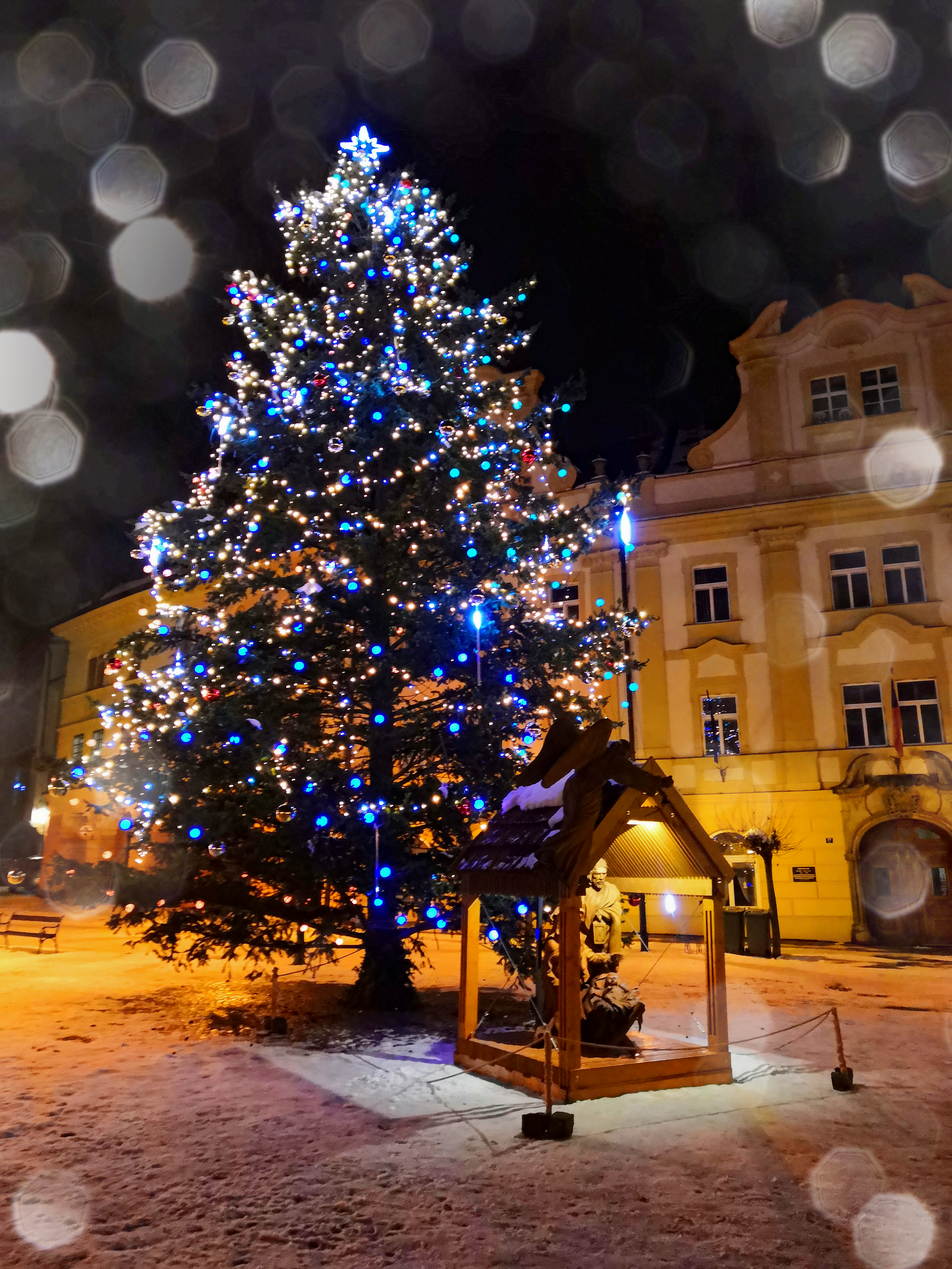 Vánoční strom 2023