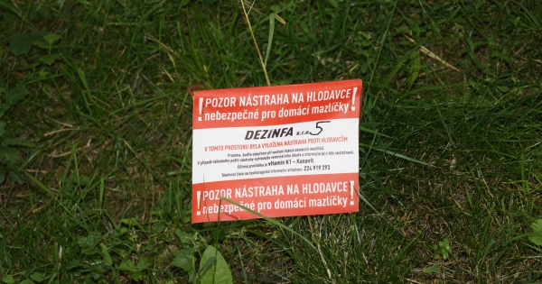 Deratizace Deratizace