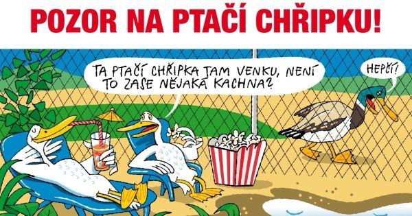 Ořez_Pozor_na_ptaci_chripku_page-0001 Ořez_Pozor_na_ptaci_chripku_page-0001