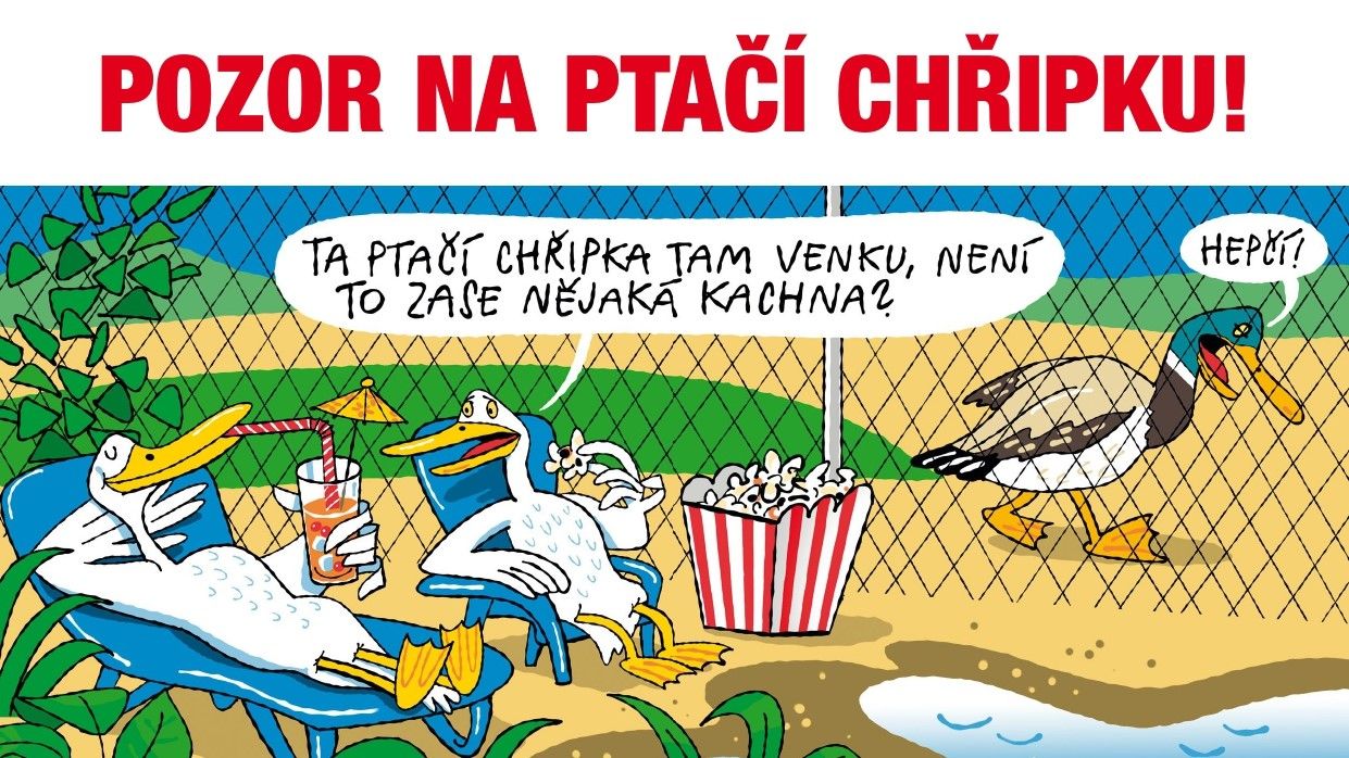 Ořez_Pozor_na_ptaci_chripku_page-0001