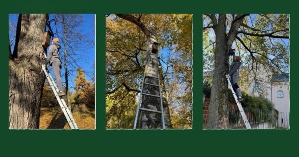 Budky v Chrudimi Budky v Chrudimi