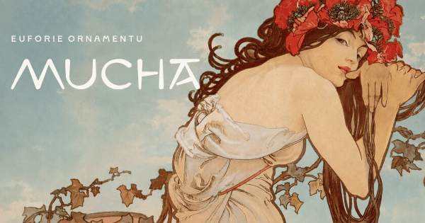 úvodka_mucha_01 úvodka_mucha_01
