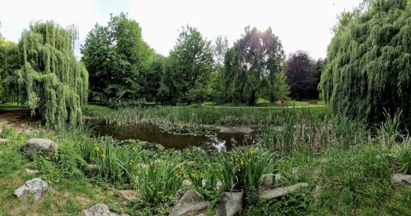 úvodka rybníček _park
